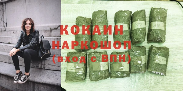 гидра Алексин